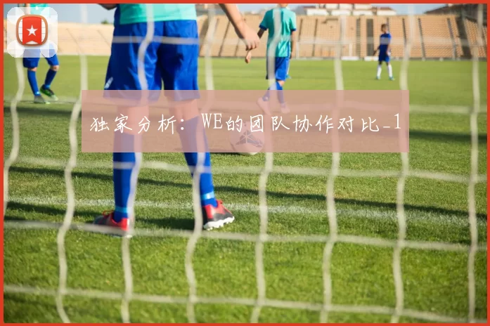 独家分析：WE的团队协作对比_1