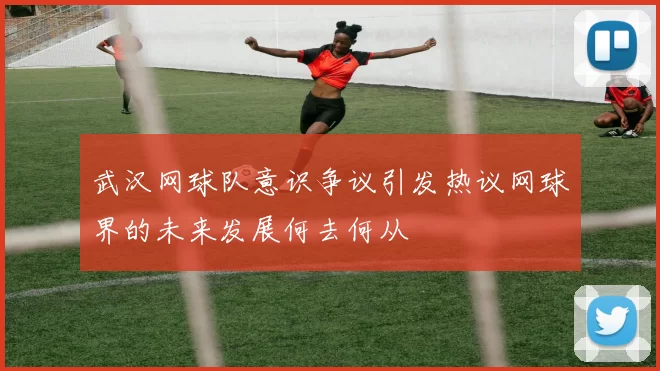 武汉网球队意识争议引发热议网球界的未来发展何去何从