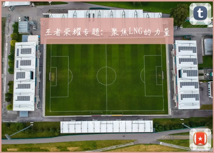 王者荣耀专题：聚焦LNG的力量