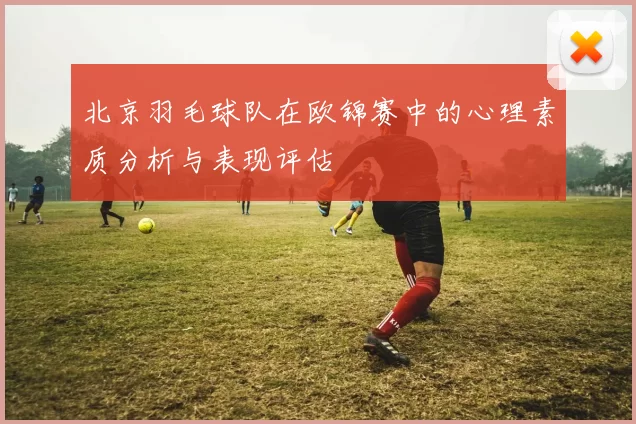 北京羽毛球队在欧锦赛中的心理素质分析与表现评估